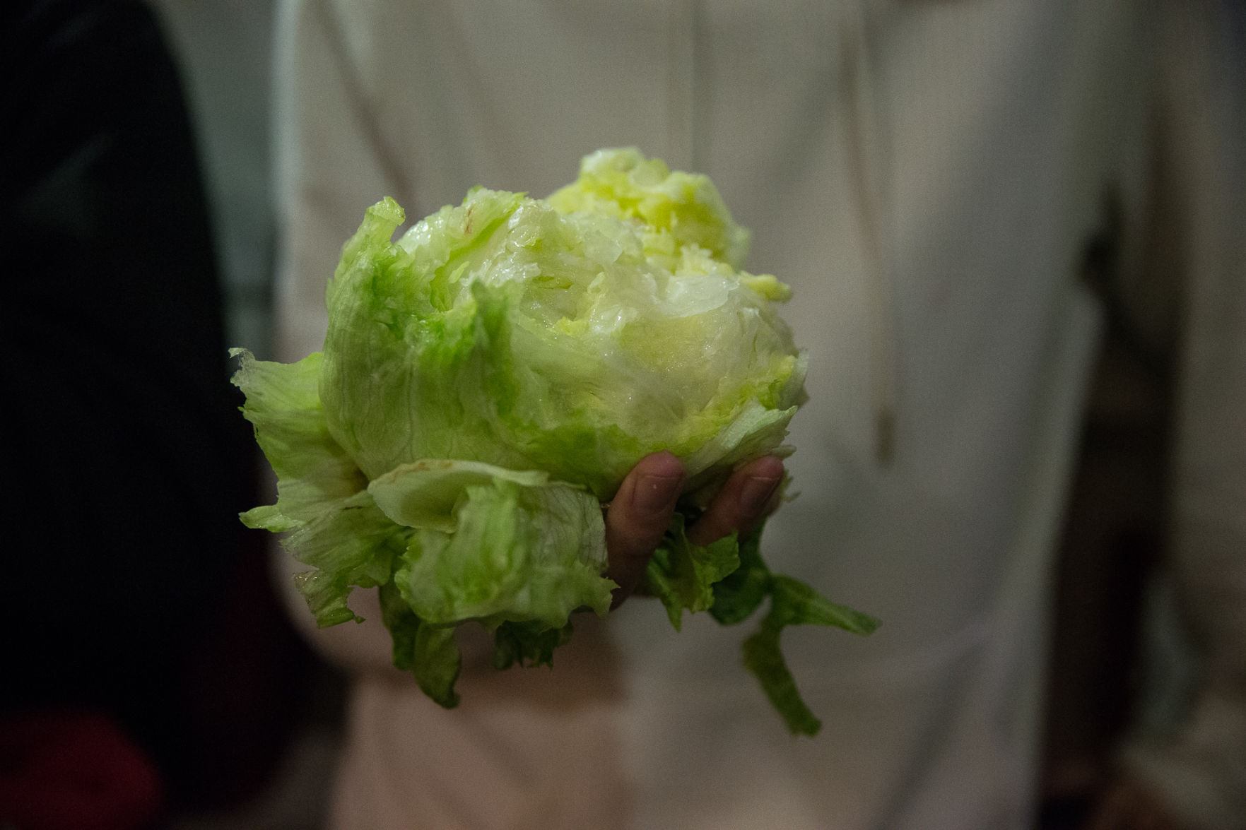 Lettuce head